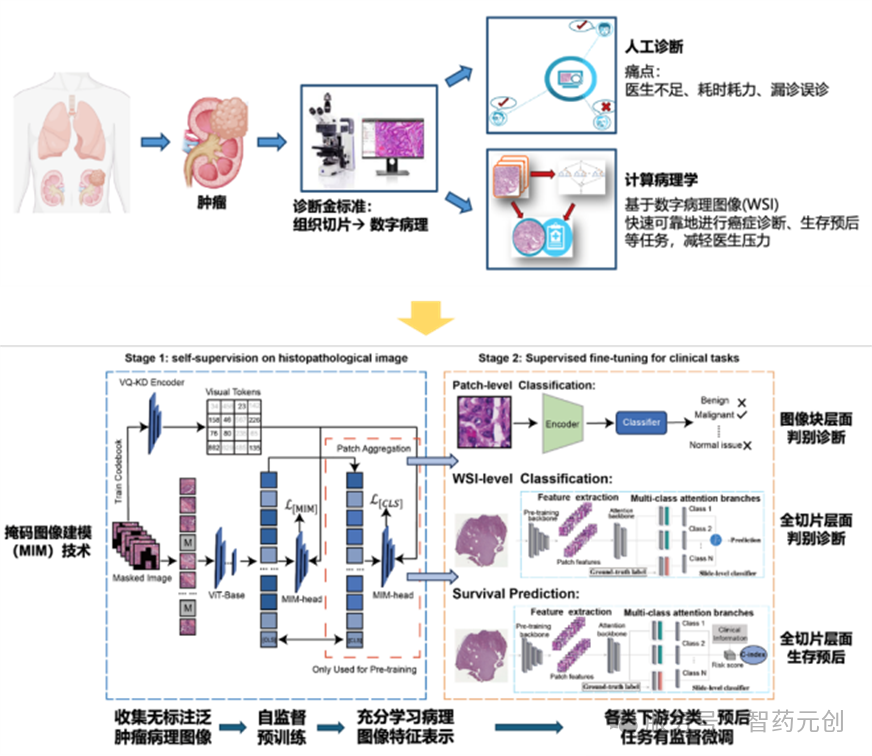 微信图片_2026-07-14_150715_683.png